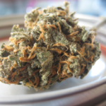 CBD extract