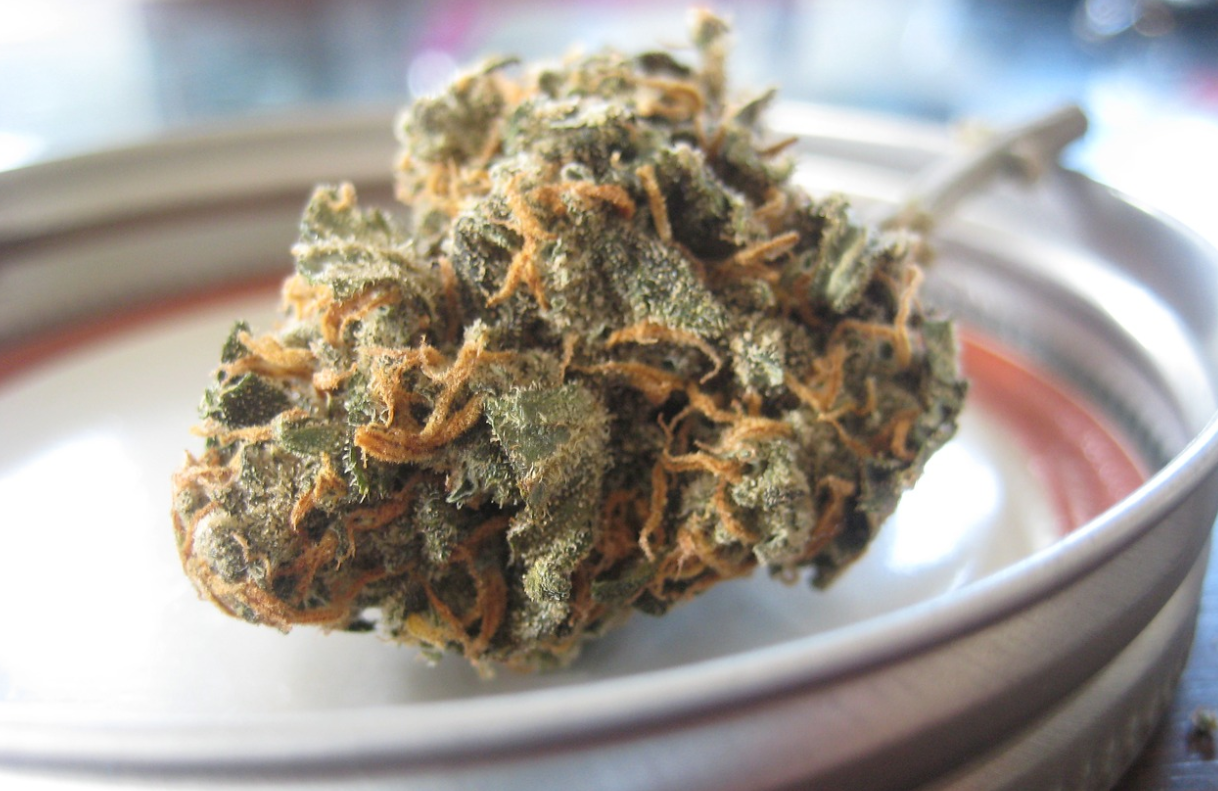 CBD extract